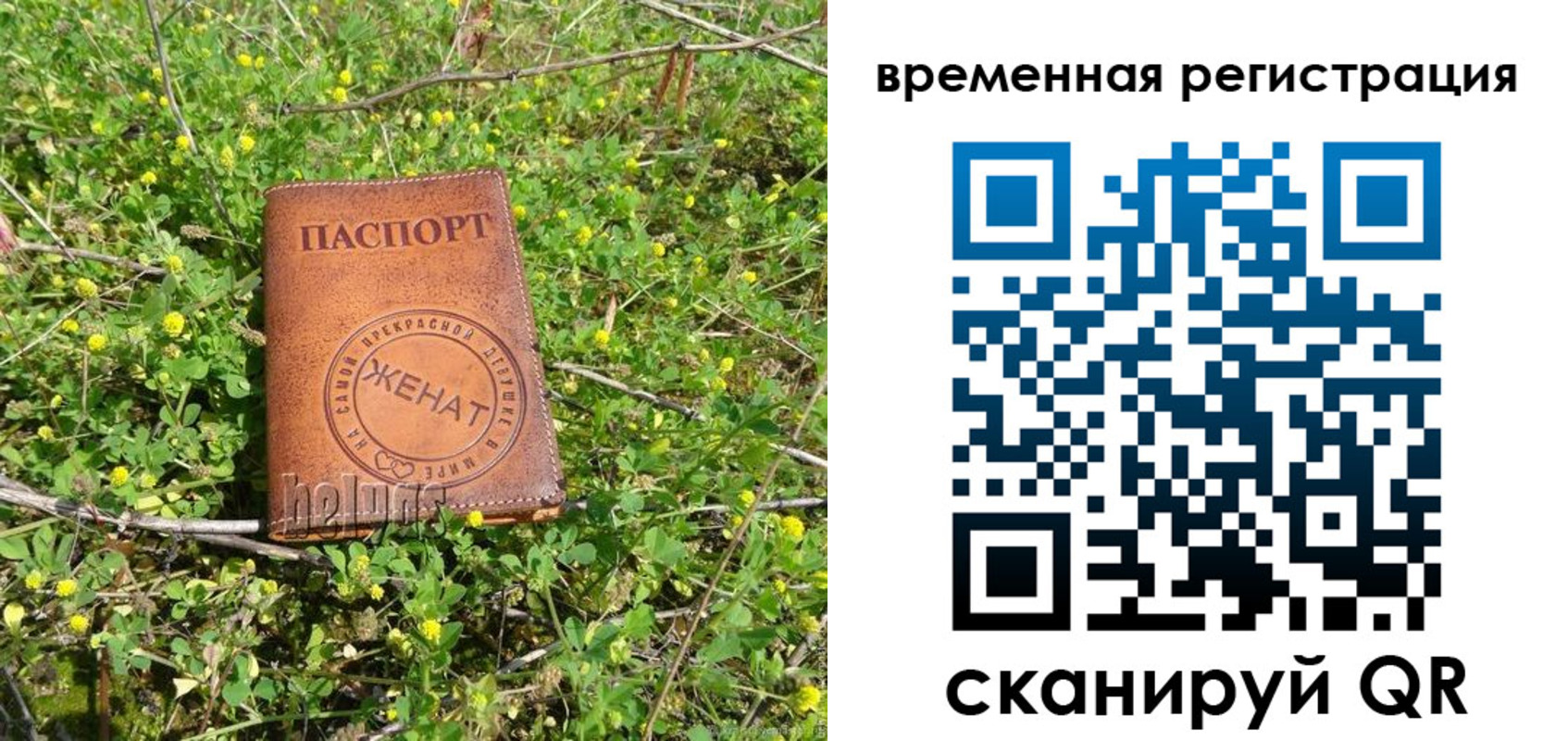 прописка регистрация в Ясногорске